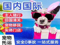 邯郸机场物流国际宠物托运 【国